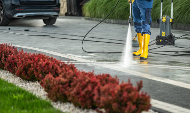 Best Roof Pressure Washing  in Anthony, KS